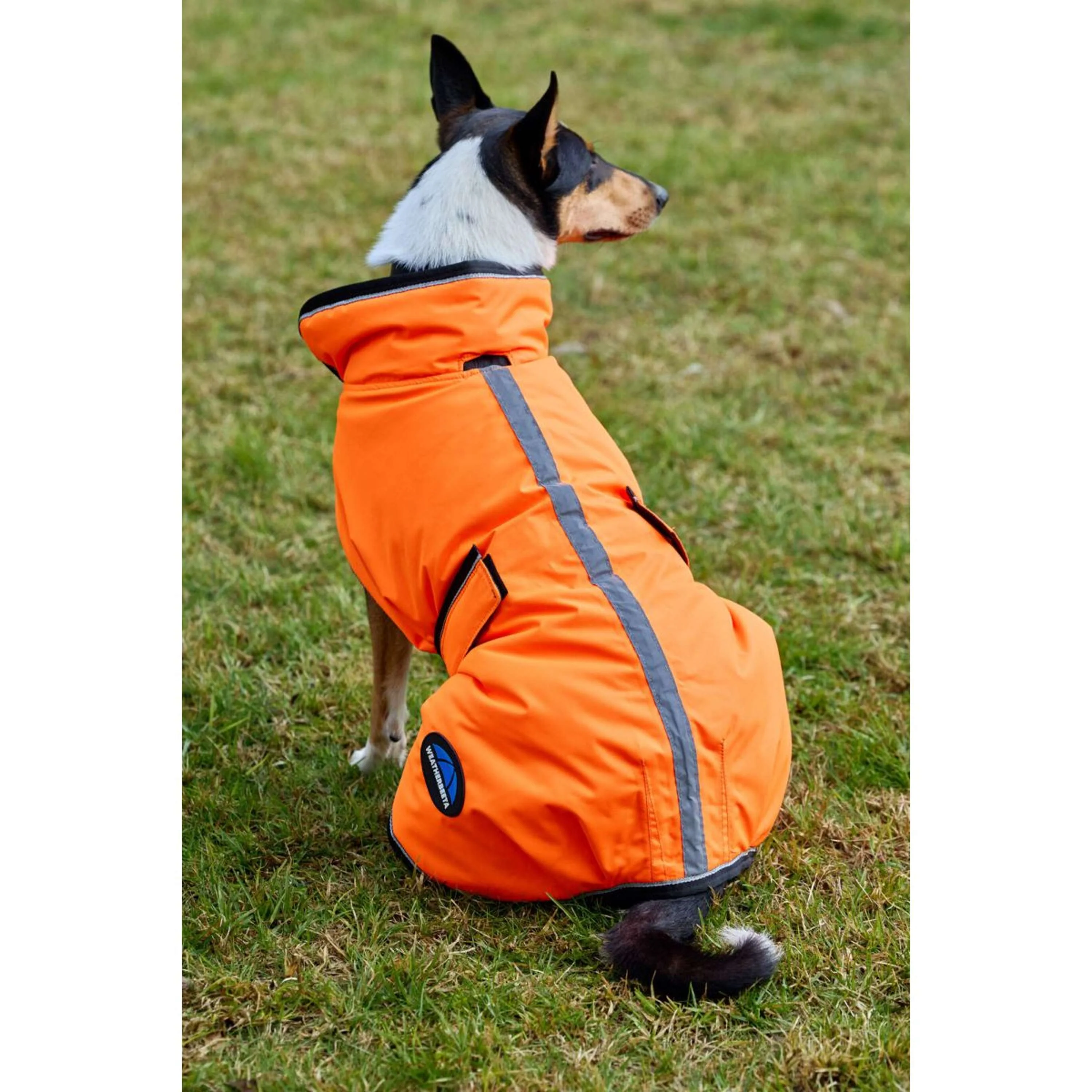 WeatherBeeta Couverture pour Chien ComFiTec Reflective 300D Deluxe Showerproof Orange - Image 2