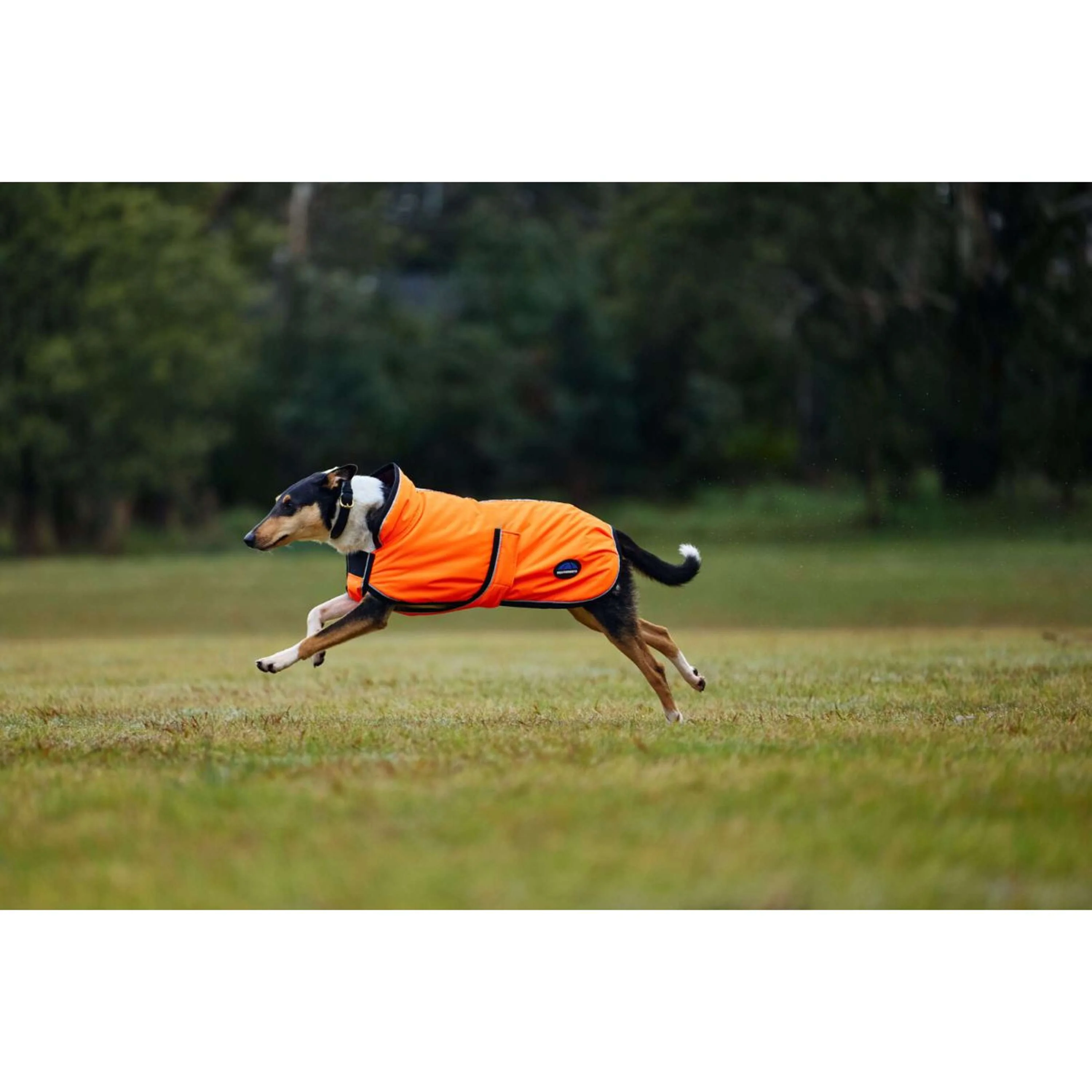 WeatherBeeta Couverture pour Chien ComFiTec Reflective 300D Deluxe Showerproof Orange - Image 4