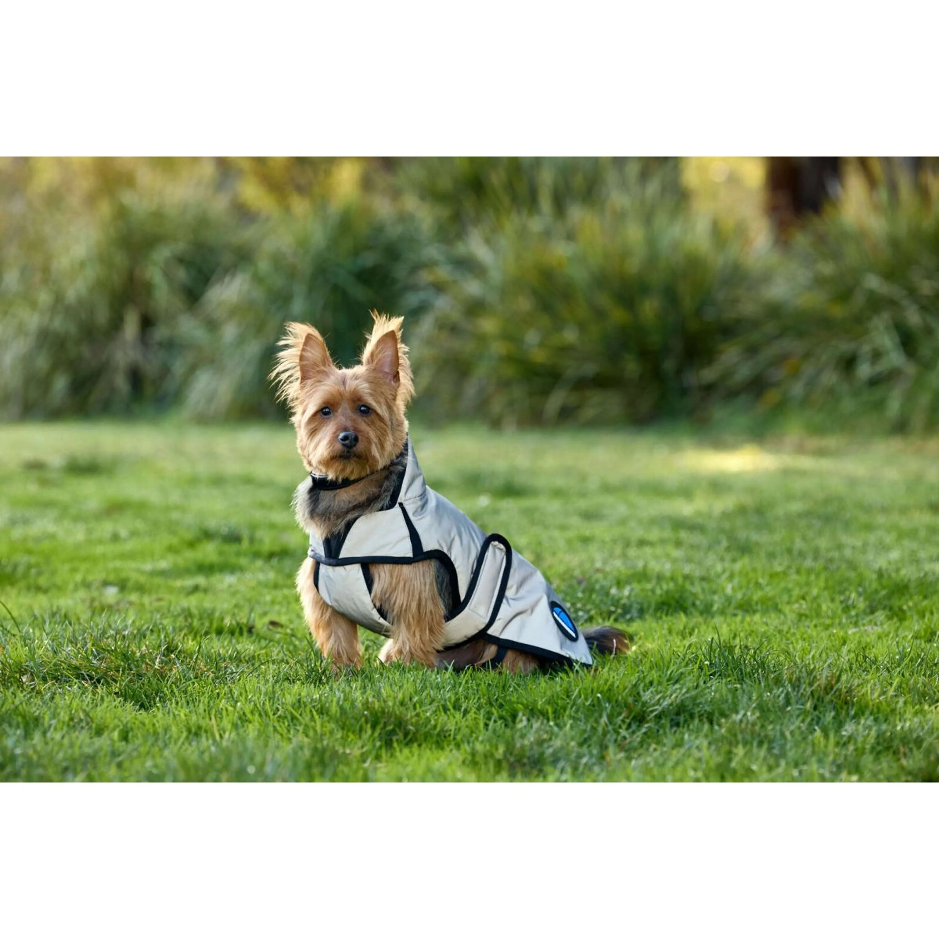 WeatherBeeta Couverture pour Chien ComFiTec Reflective Showerproof Argent - Image 2