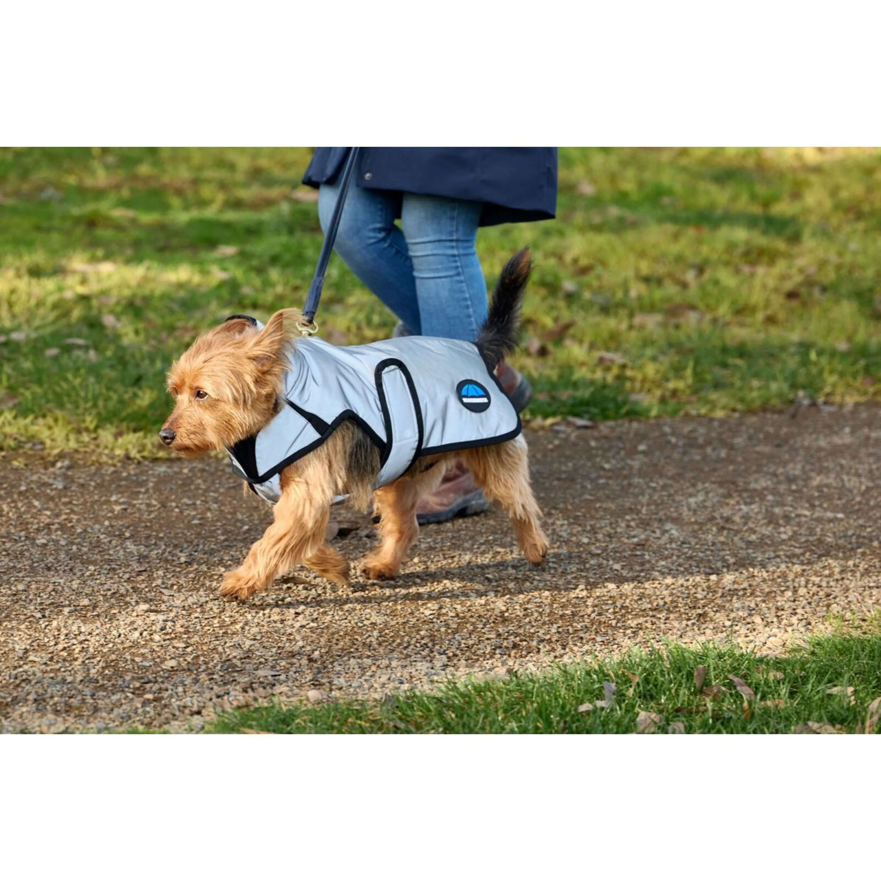 WeatherBeeta Couverture pour Chien ComFiTec Reflective Showerproof Argent - Image 3