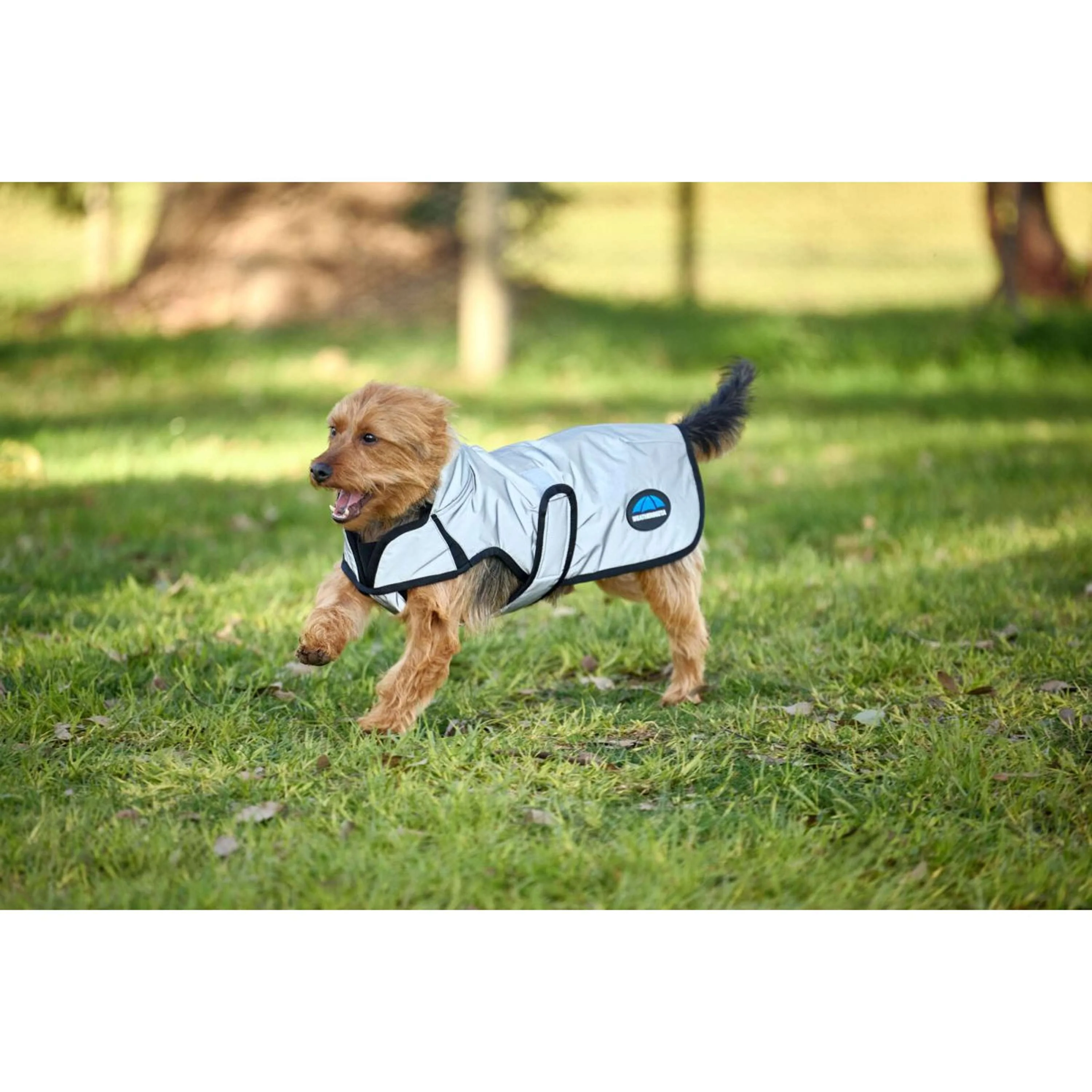 WeatherBeeta Couverture pour Chien ComFiTec Reflective Showerproof Argent - Image 4