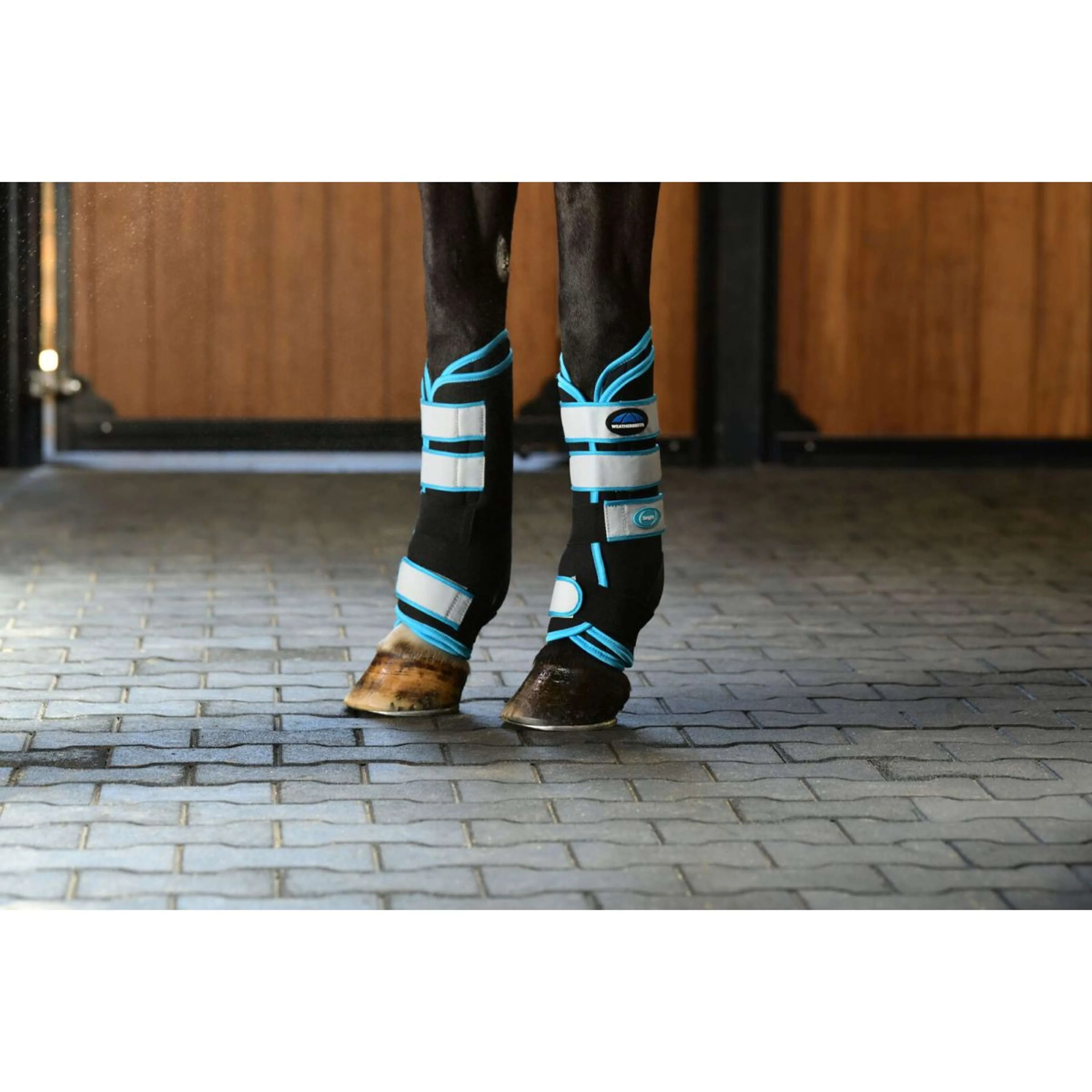 WeatherBeeta Guêtres Therapy-Tec Stable Boot Noir/Bleu - Image 2