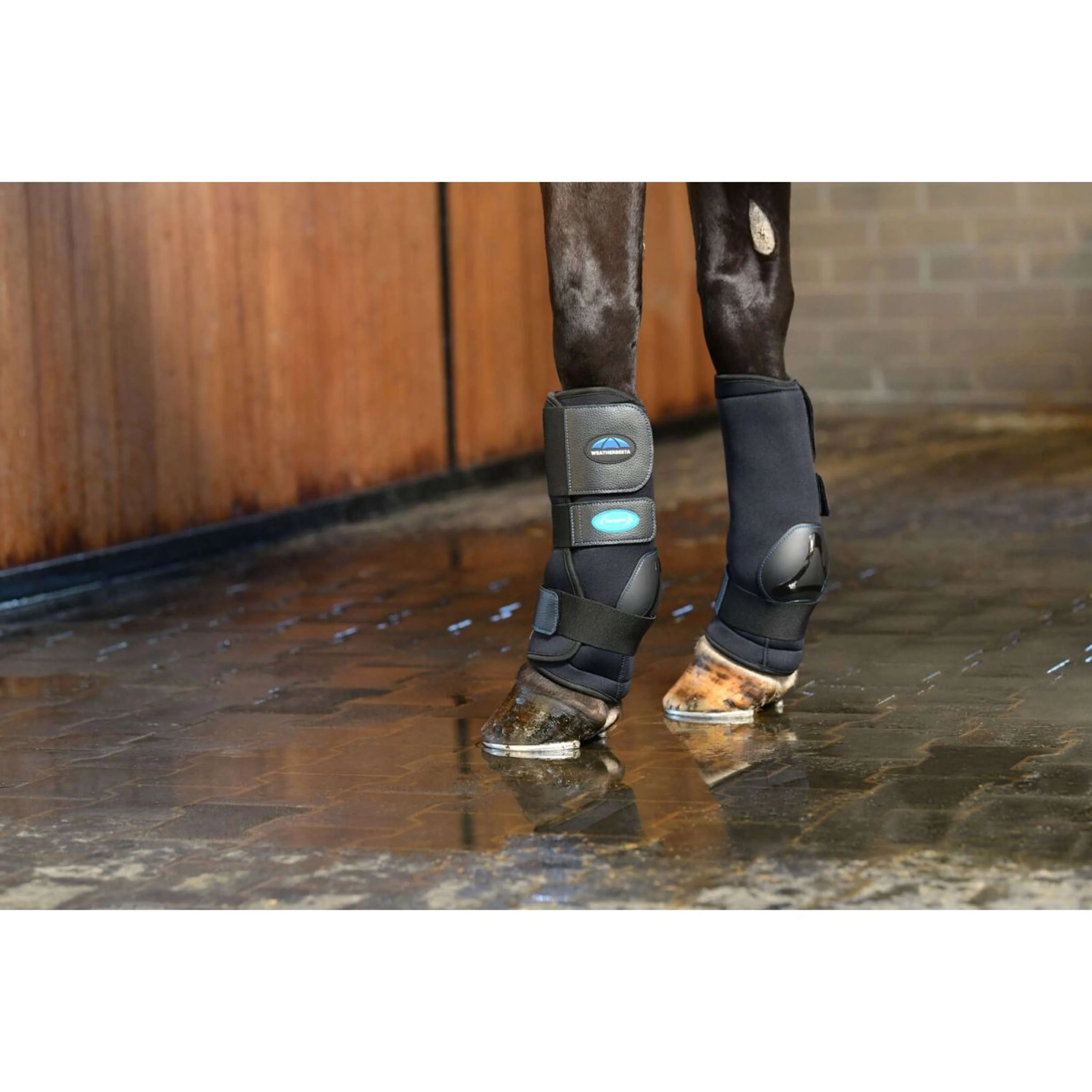 WeatherBeeta Ice Boots Therapy-Tec II Ultra Cool Noir - Image 2
