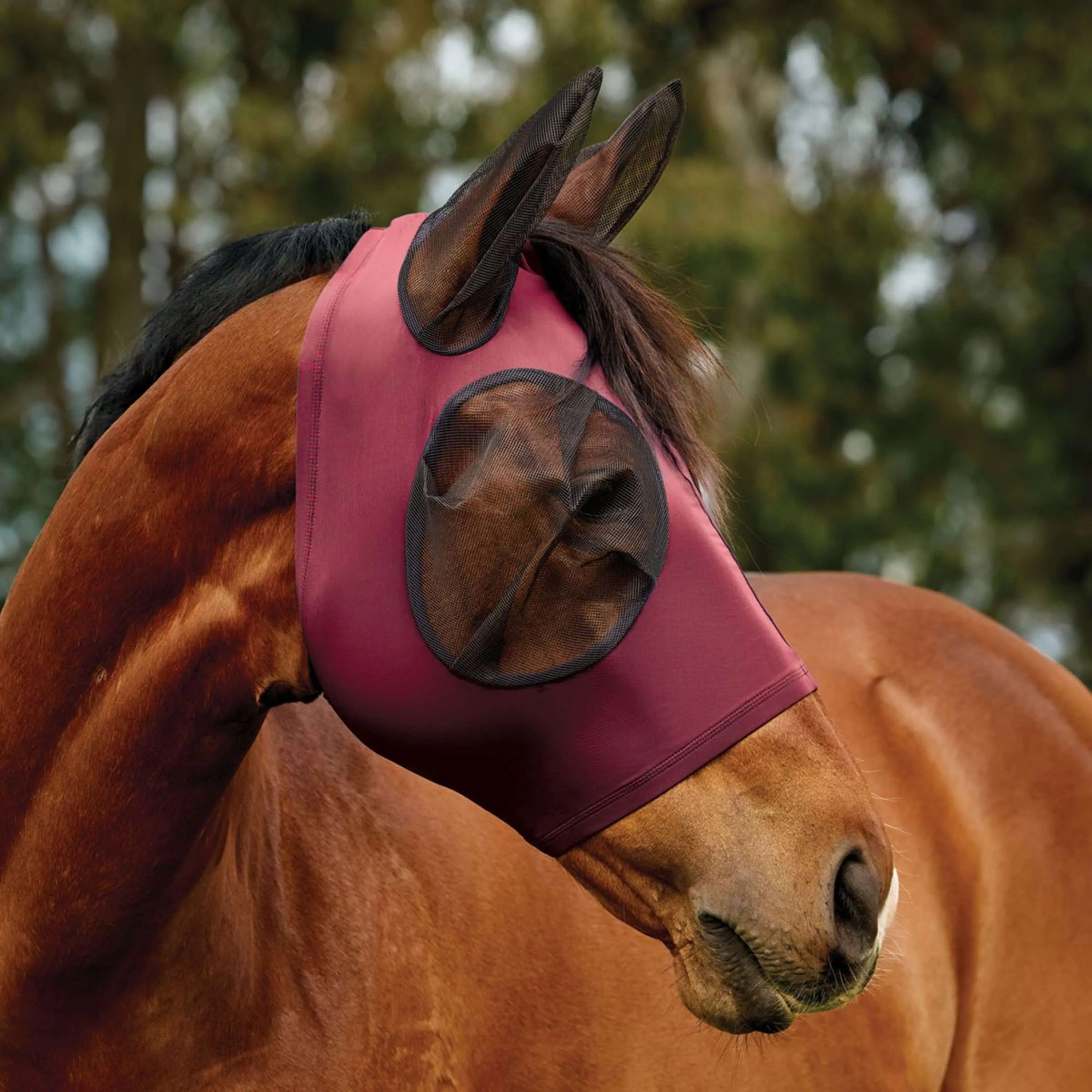 WeatherBeeta Masque Anti-Mouches ComFiTec Deluxe Stretch avec Oreilles Bordeaux/Noir - Image 3