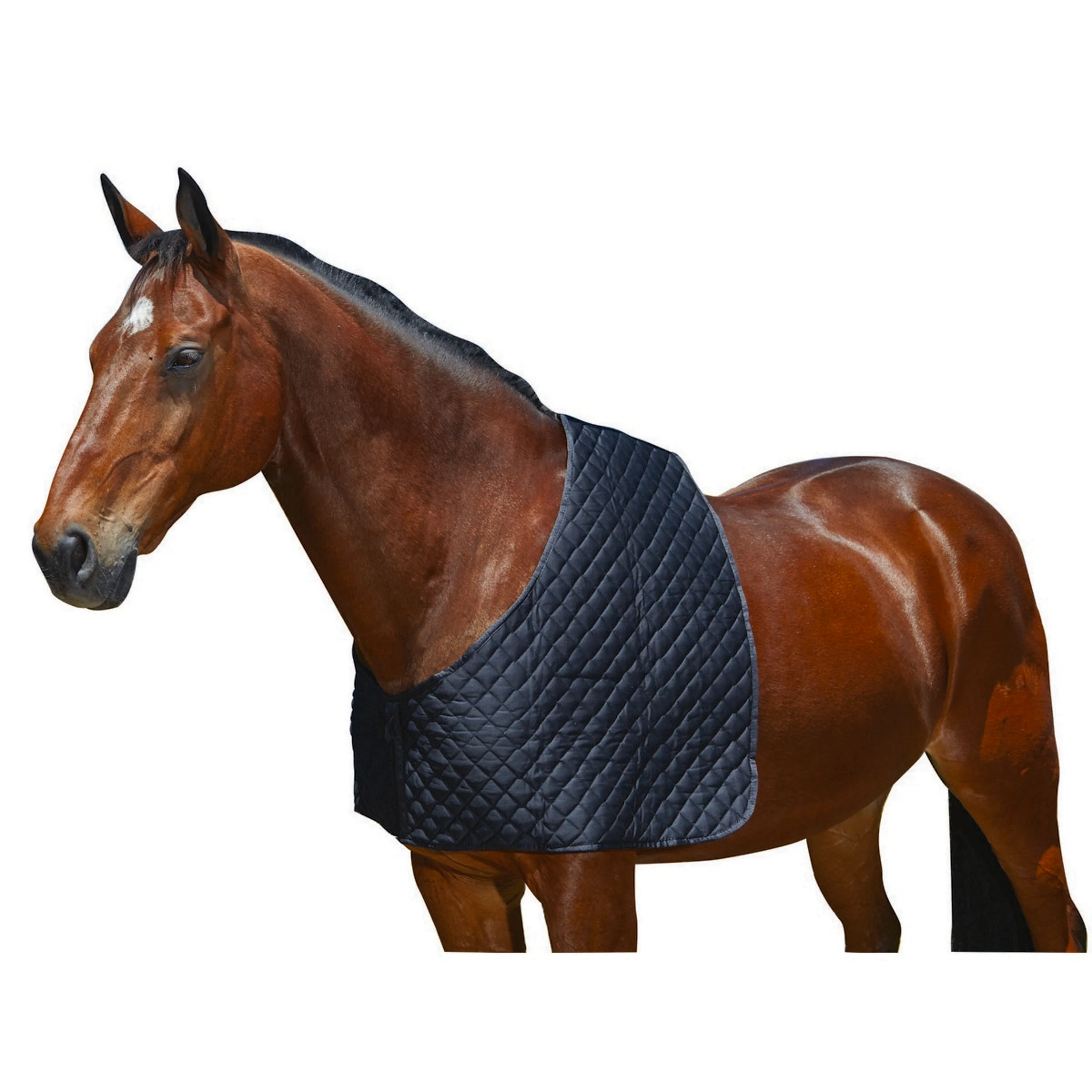 WeatherBeeta Shoulder Guard Deluxe Noir - Image 2