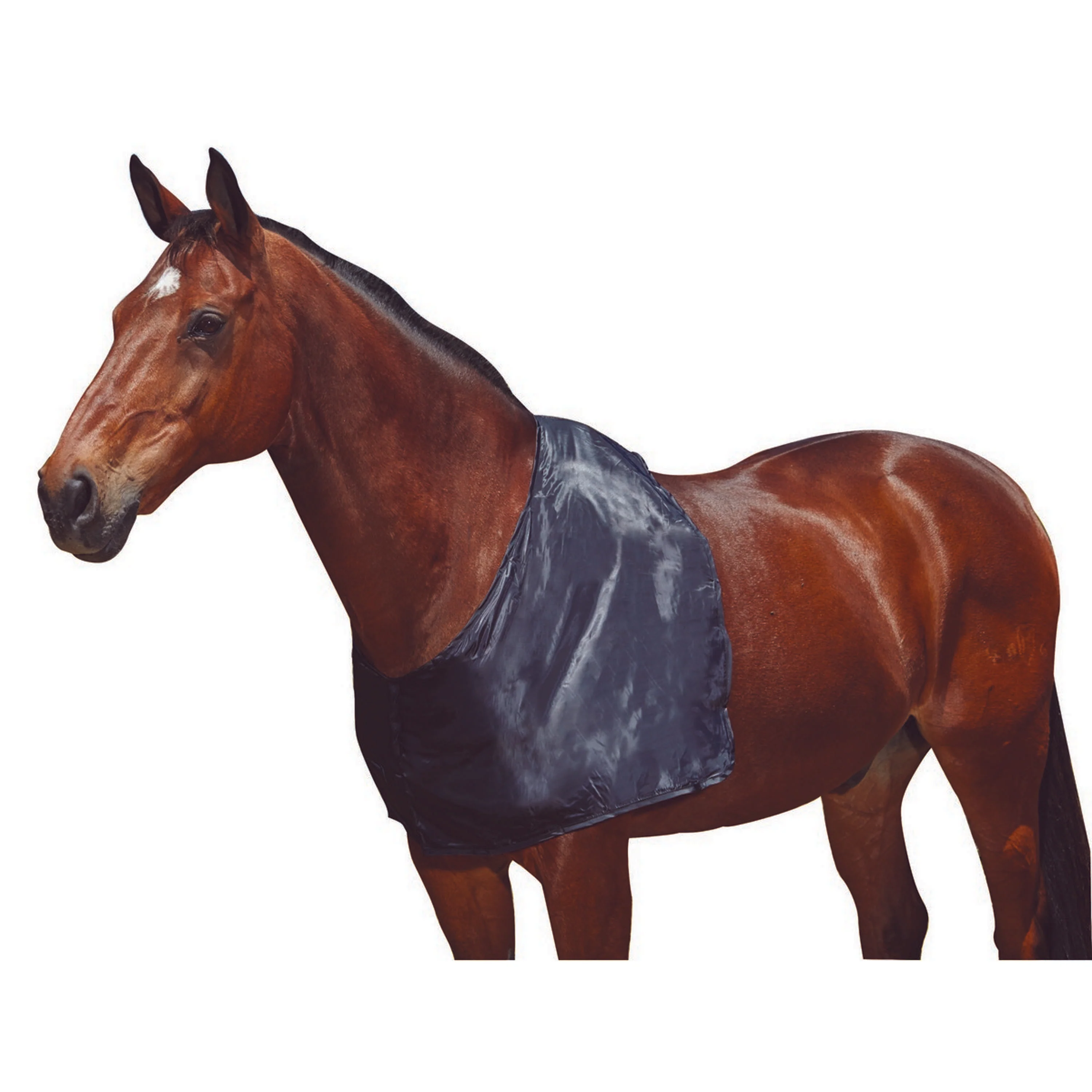 WeatherBeeta Shoulder Guard Satin Noir - Image 2