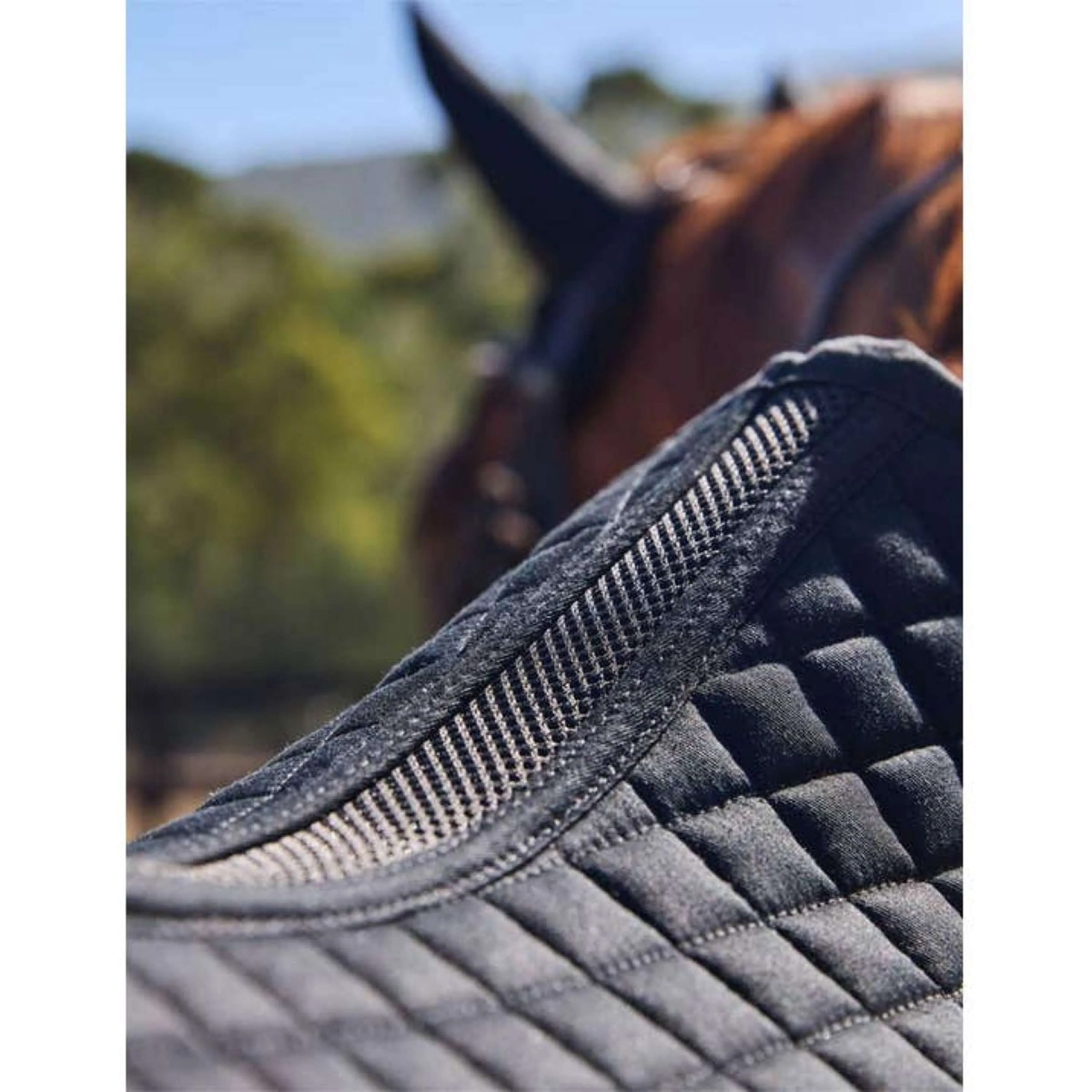 WeatherBeeta Tapis de Selle Prime Air-Tec de Saut Noir - Image 3