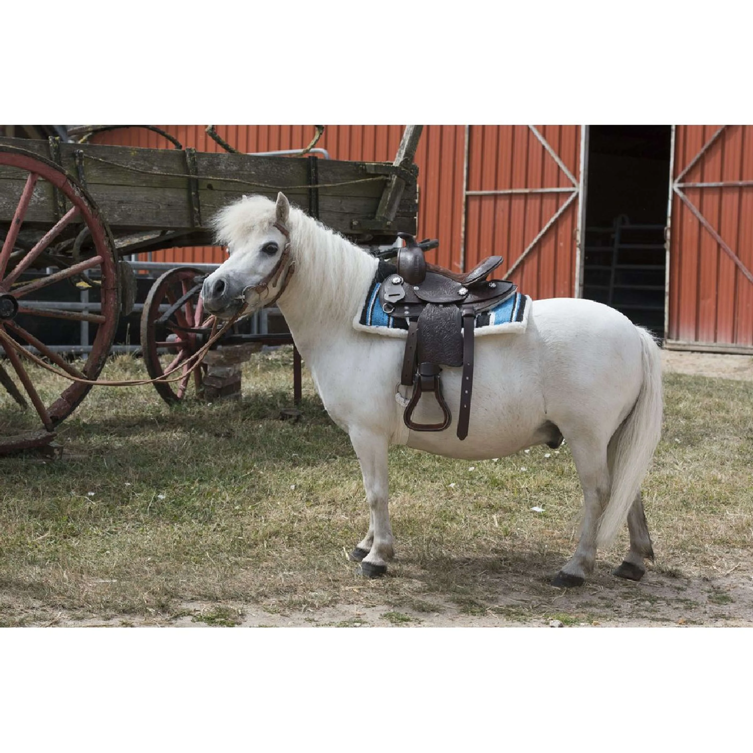 Westride Amortisseur de Selle Navajo Matelassé Turquoise/Noir/Blanc - Image 2