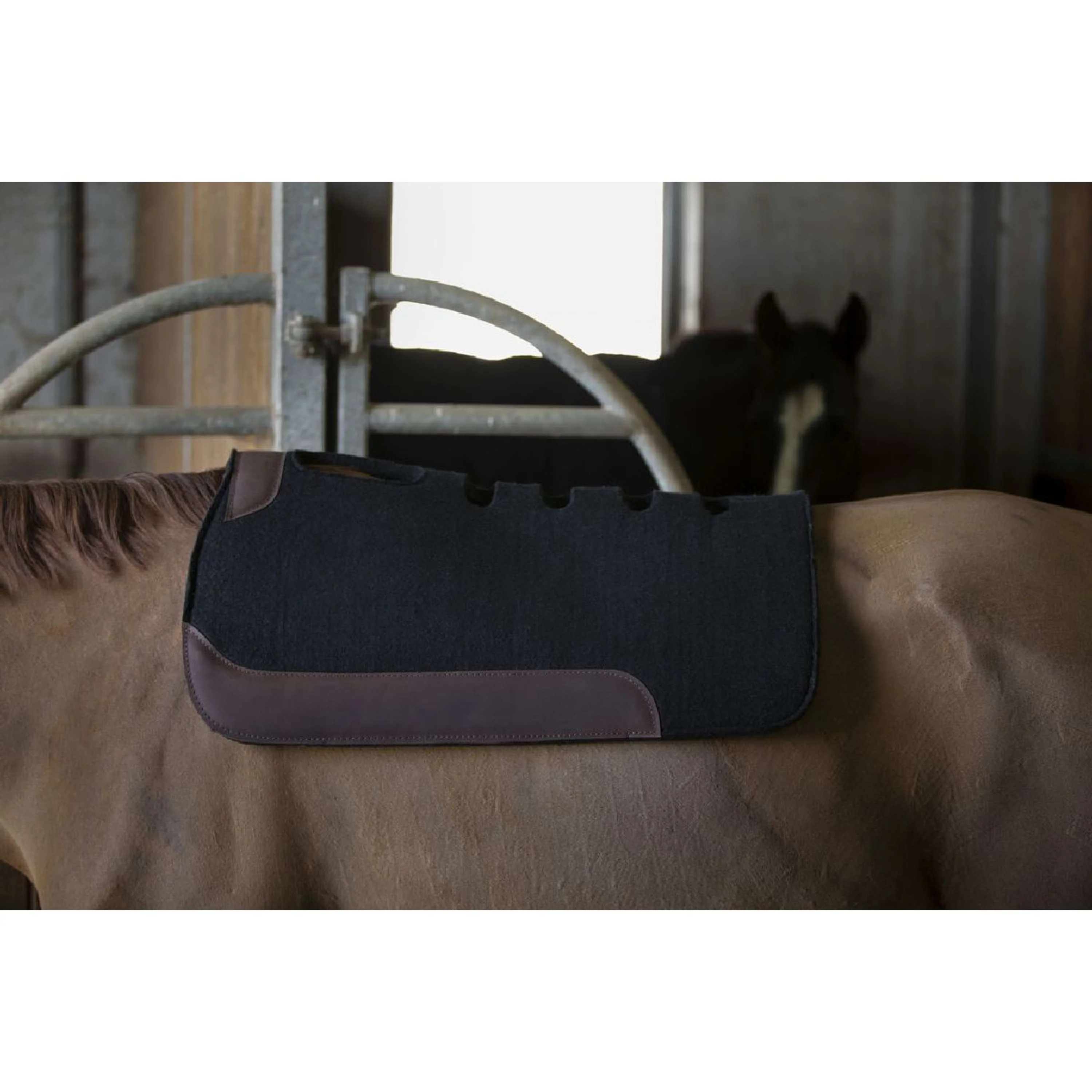 Westride Tapis Western avec Sacs Noir - Image 2